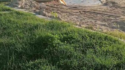 Burhaniye ilçesinde, Öğretmenler Mahallesi Halk Plajında denize akan pis sular