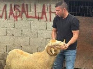 Burhaniye ilçesinde, kurban bayramına bir aydan az bir zaman kala