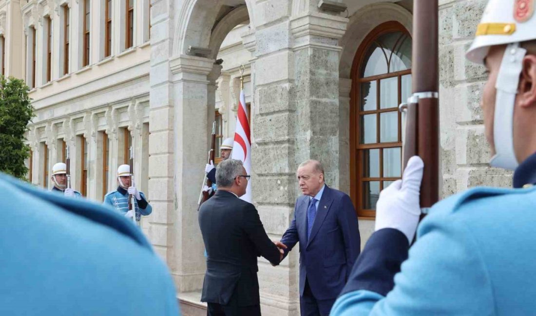 Cumhurbaşkanı Recep Tayyip Erdoğan, KKTC Cumhurbaşkanı Tufan Erhürman ile görüştü.