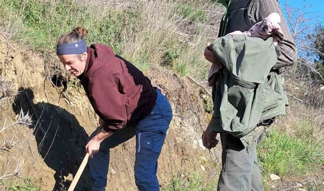 Edremit İlçesinde, Kaz Dağları Bal Ormanı, yöredeki arıcıların umudu oldu.