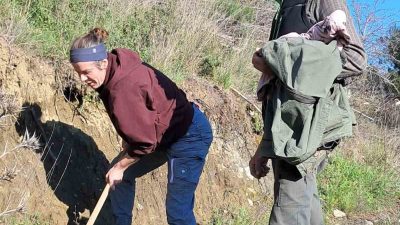 Edremit İlçesinde, Kaz Dağları Bal Ormanı, yöredeki arıcıların umudu oldu.