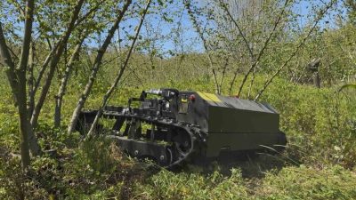 Sakarya’nın Kaynarca ilçesinde makine mühendisliği mezunu genç, fındık bahçelerindeki yabani