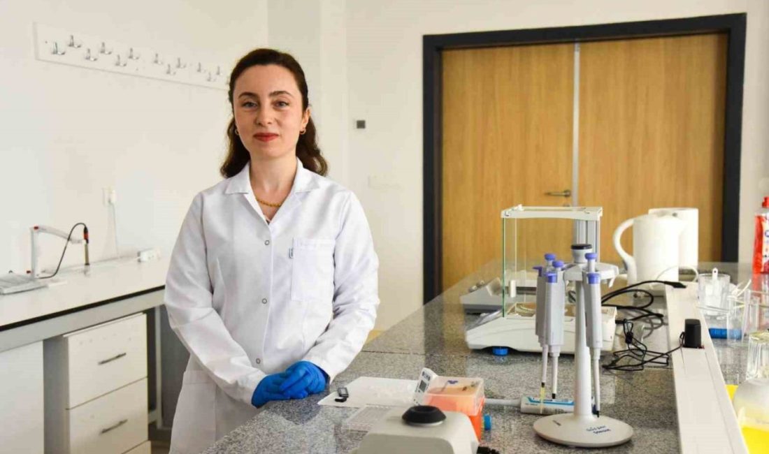 Bilecik Şeyh Edebali Üniversitesi (BŞEÜ) Hi-SENS takımı tarafından geliştirilen proje,