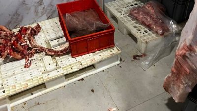 Sakarya’da yapılan gıda denetimlerinde hijyen kurallarını ihlal ettiği belirlenen bir