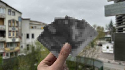 Cumhuriyet Savcısı Baki Yiğit Çakmakkaya, IBAN numarasına bağlı banka hesapları