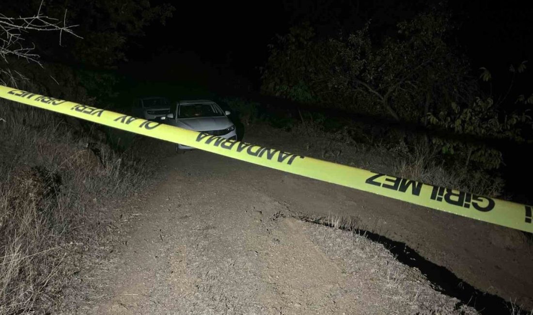 Türkiye son dönemde ardı ardına gelen çocukların işlediği vahşet haberleriyle