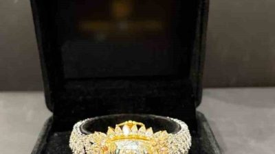 İstanbul’da, tarihi Kapalıçarşı’da düzenlenen operasyonda, Endonezya’dan kaçak yollarla ülkeye getirilen