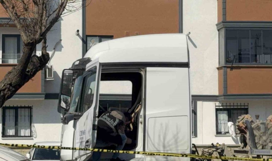 Kocaeli’nin Darıca ilçesinde işe gitmek üzere tırına binen kardeşini, kurduğu