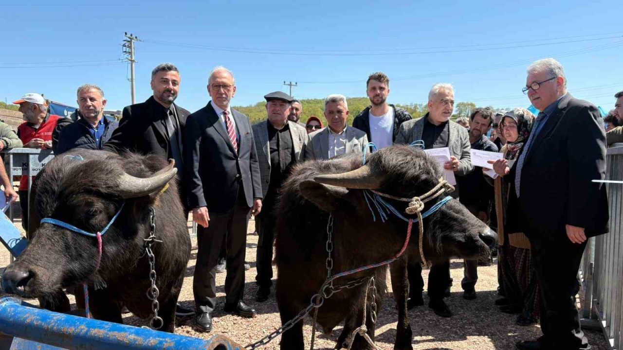 Kocaeli’de “Halk Elinde Anadolu Mandasının Islahı Projesi” ile üreticilere bugüne