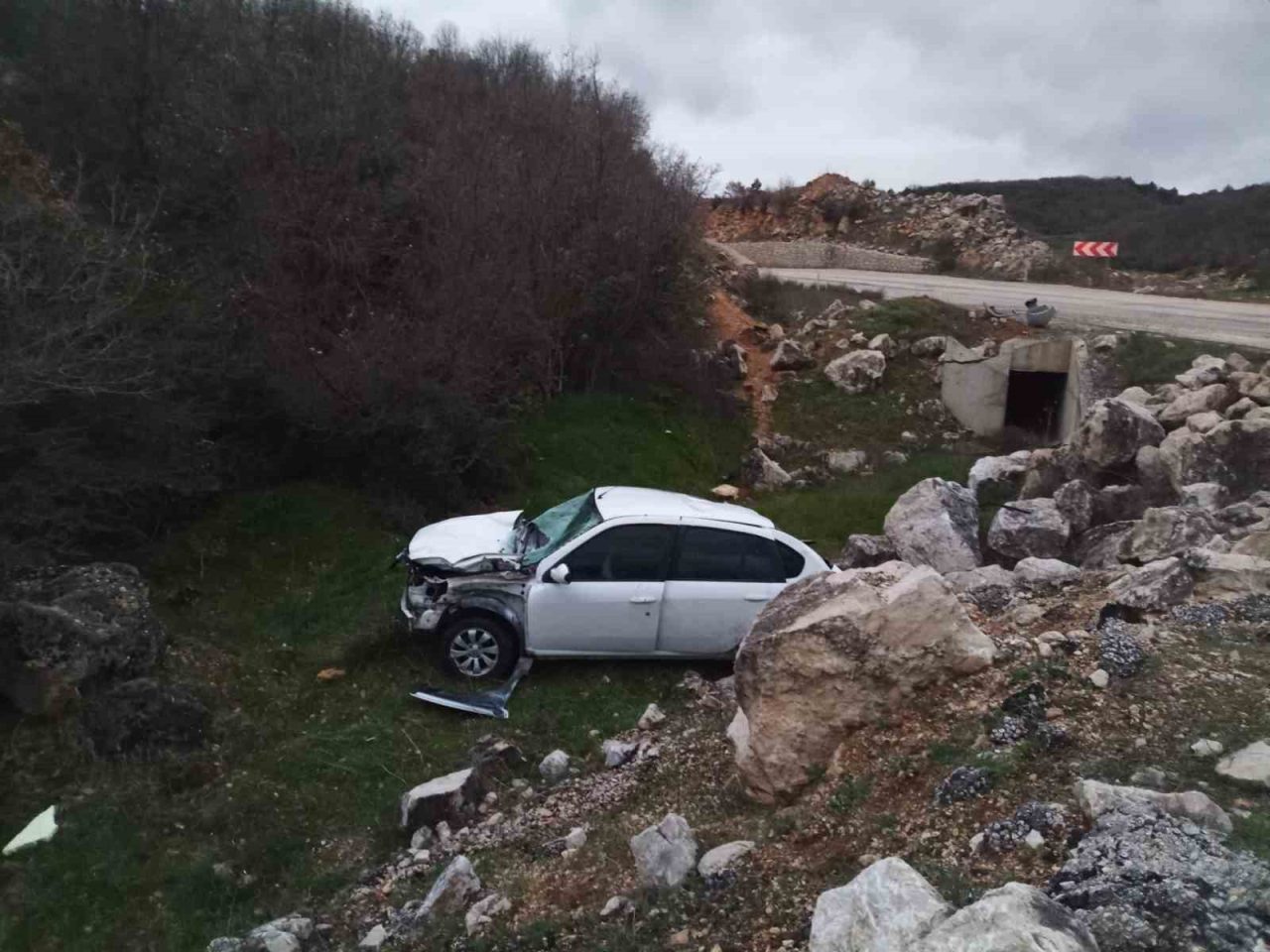 Bilecik’te seyir halinde kontrolden çıkan otomobil şarampole uçarken, sürücüsü yaralandı.