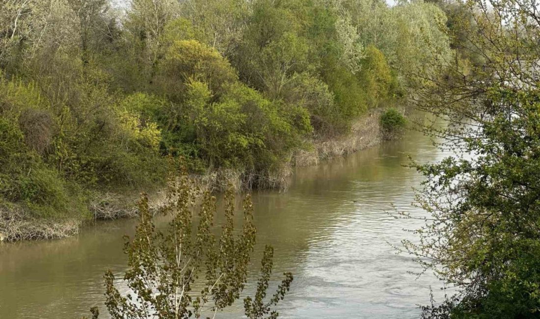 Sakarya’nın Erenler ilçesinde balık tuttuğu esnada dengesini kaybederek Sakarya Nehri’ne