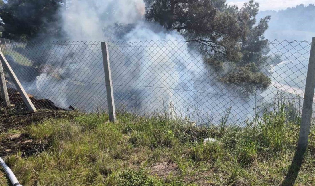Bilecik’in Söğüt ilçesinde bir kişinin tarlasındaki otları temizlemek amacıyla yaktığı