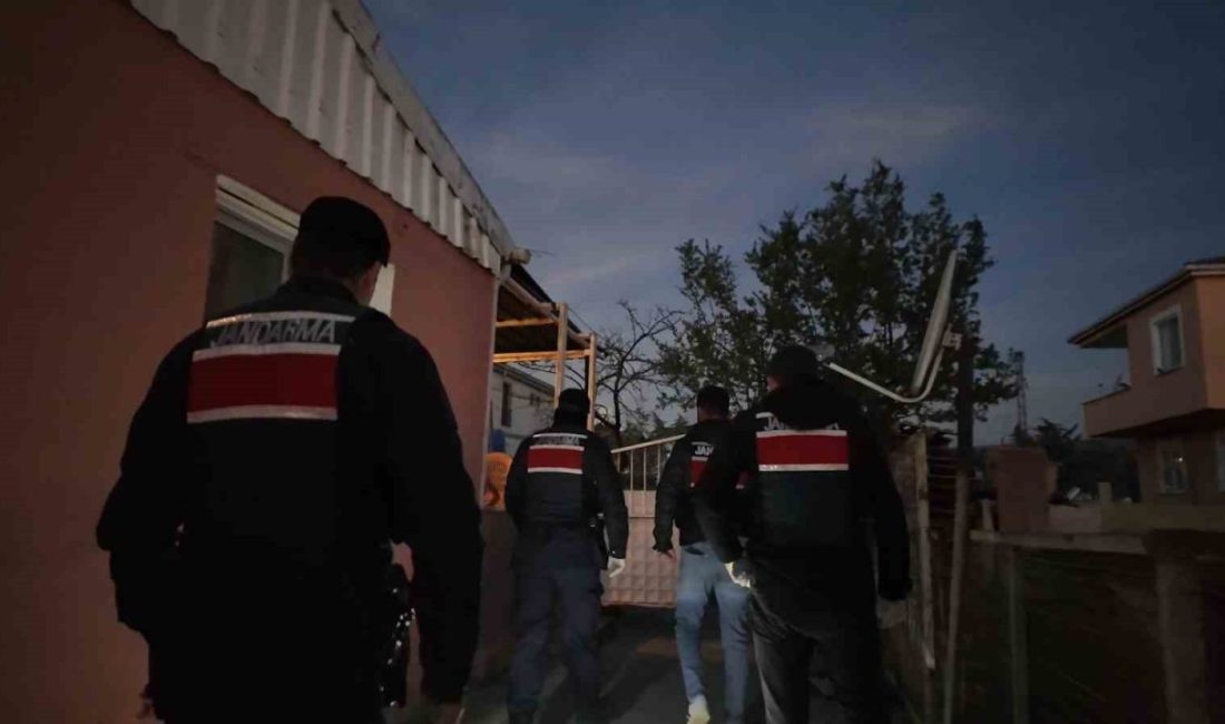 Tekirdağ ve İstanbul’da jandarma ekiplerince düzenlenen eş zamanlı uyuşturucu operasyonunda