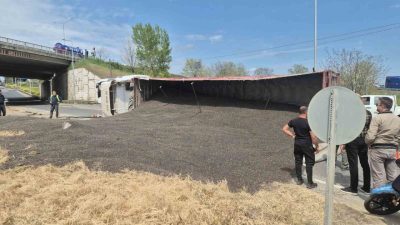 Tekirdağ’ın Süleymanpaşa ilçesinde ayçiçeği çekirdeği yüklü tırın devrilmesi sonucu tonlarca