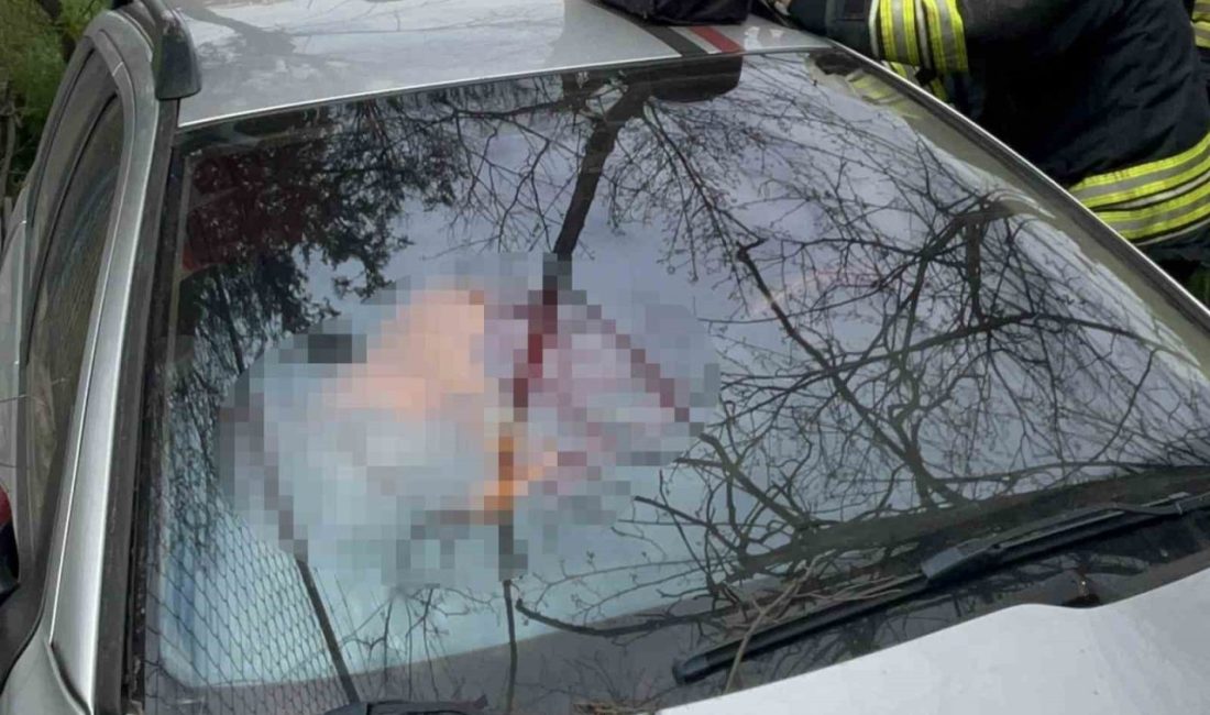 Tekirdağ’ın Çorlu ilçesinde yoldan çıkan otomobilin şarampole uçtuğu kazada 1