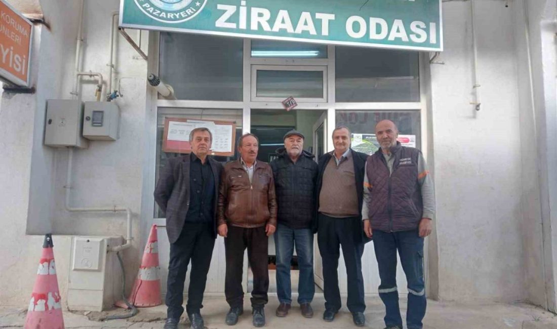 Bilecik’in Pazaryeri ilçesinde alternatif ürün arayışları kapsamında geçtiğimiz yıl ilk