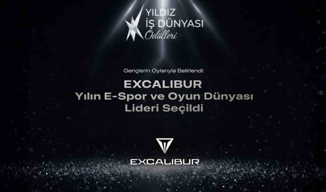 Oyun ve güç bilgisayarı markası Excalibur, Yıldız Teknik Üniversitesi (YTÜ)