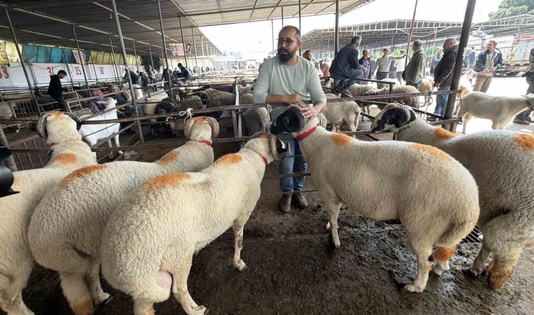 Balıkesir’in Havran ilçesinde kurulan ve bölgenin tek ruhsatlı canlı hayvan