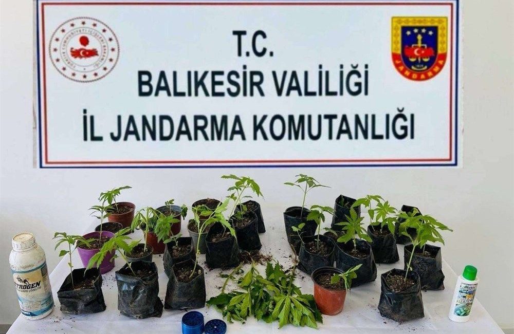 Balıkesir İl Jandarma Komutanlığı ekiplerince 10 ilçede düzenlenen uyuşturucu operasyonlarında