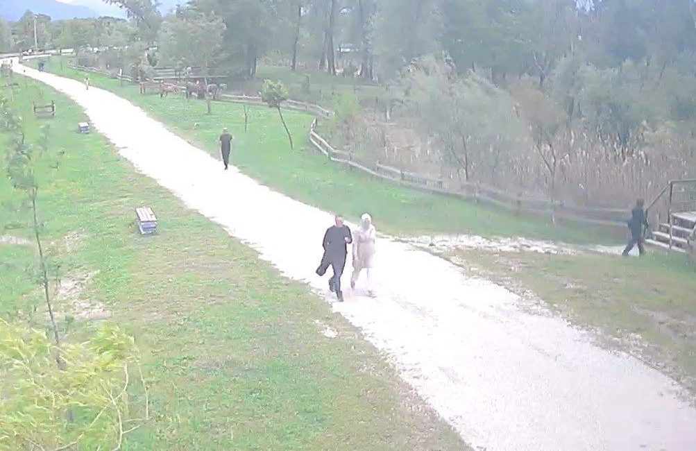 Sakarya’nın Arifiye ilçesindeki tabiat parkında yer alan gölette cansız bedeni