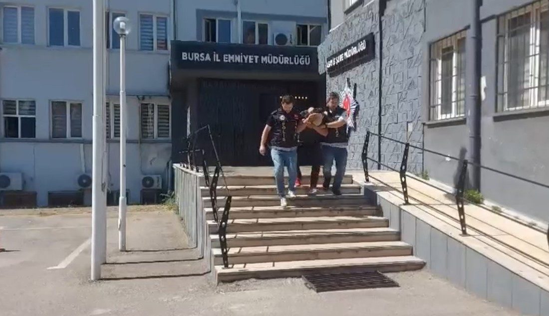 Bursa’da 29 suç kaydı bulunan firari, polisleri görünce kayısı ağacının