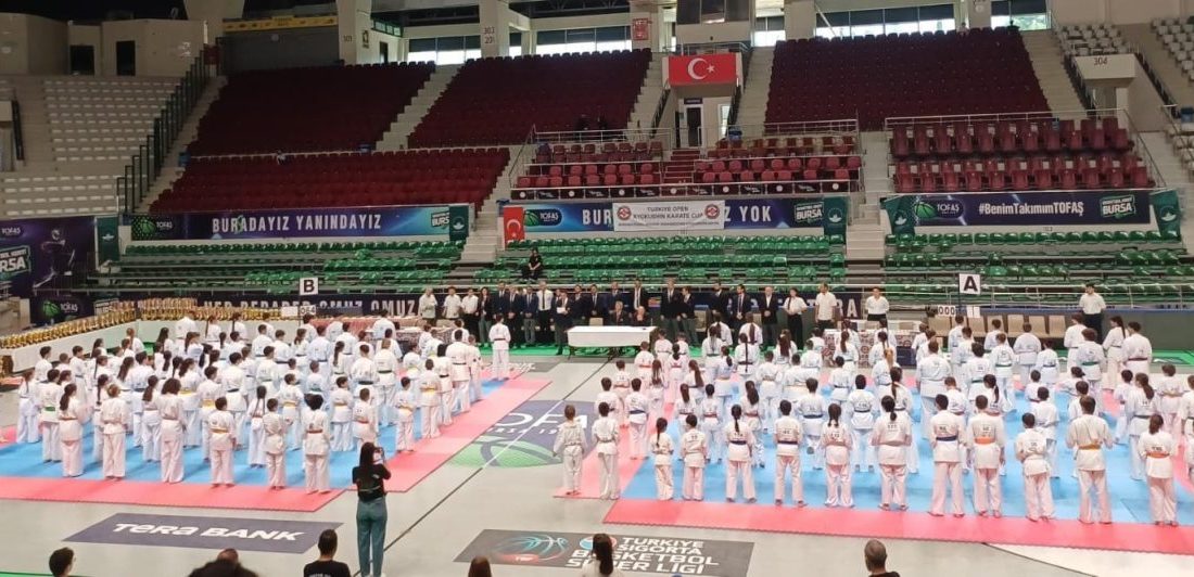 Türkiye Karate Federasyonu bünyesinde faaliyet gösteren Kyokushin branşının uluslararası alandaki