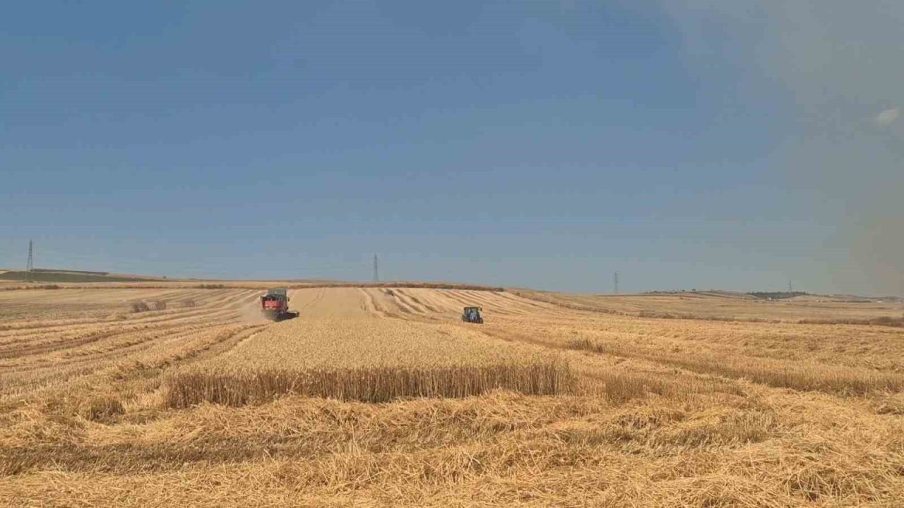Tekirdağ’ın Marmaraereğlisi ilçesinde çıkan tarla yangını rüzgarın etkisiyle ilerlerken, biçerdöverler