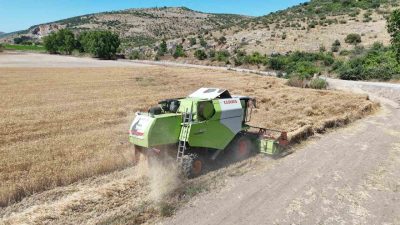 Altıeylül Belediyesi tarafından yürütülen tarımsal çalışmalar kapsamında Balıkesir’de geliştirilerek hasat