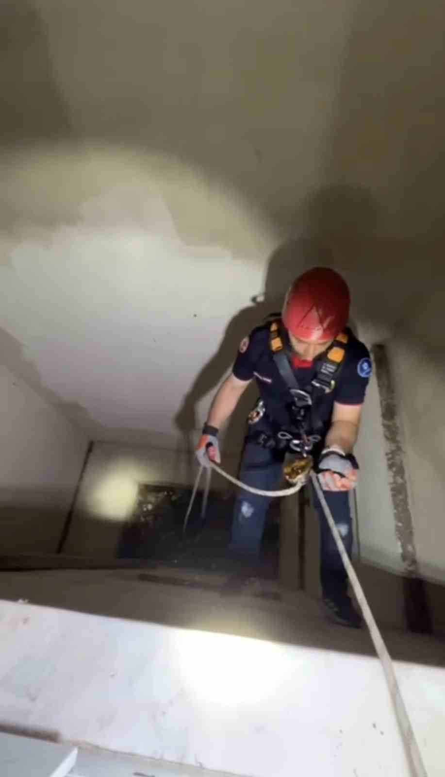 Kocaeli’nin Karamürsel ilçesinde apartman boşluğuna düşen yavru martı, itfaiye ekiplerince