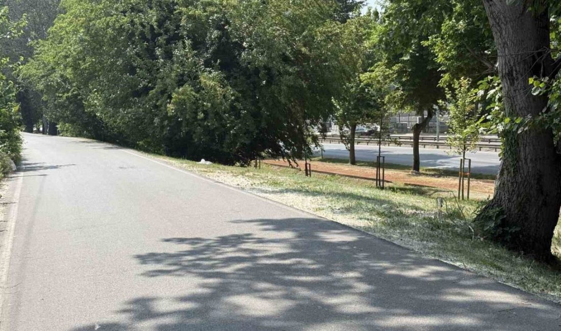 Sakarya’nın Adapazarı ilçesinde bir kişi, park halindeki aracında silahla vurulmuş