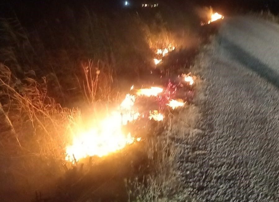 Balıkesir’in Ayvalık ilçesine bağlı Küçükköy Mahallesi’nde çıkan otluk alan yangını,