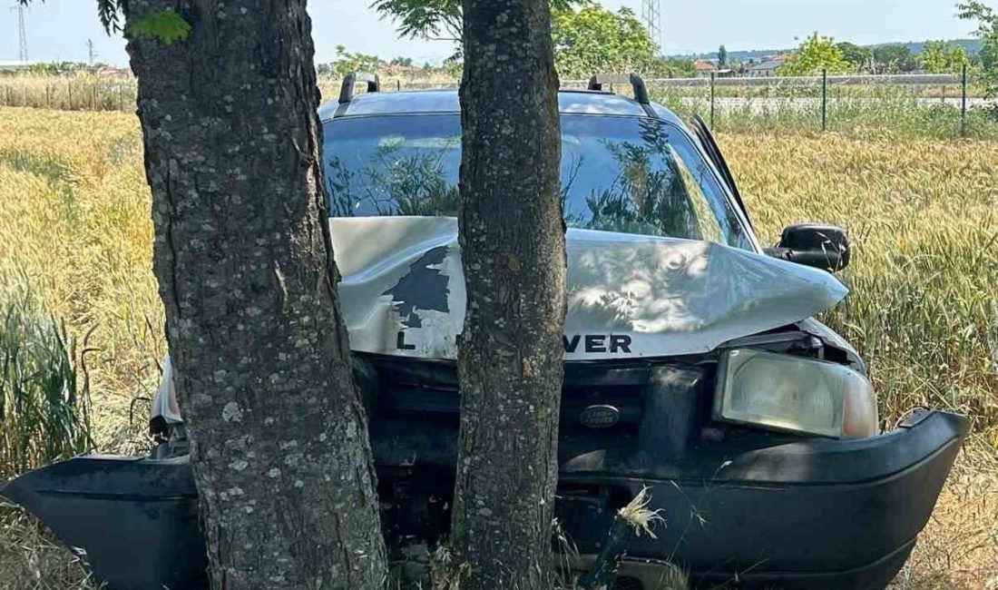 Kırklarelinin Babaeski ilçesinde kontrolden çıkarak yol kenarındaki ağaçlara çarpan otomobilin