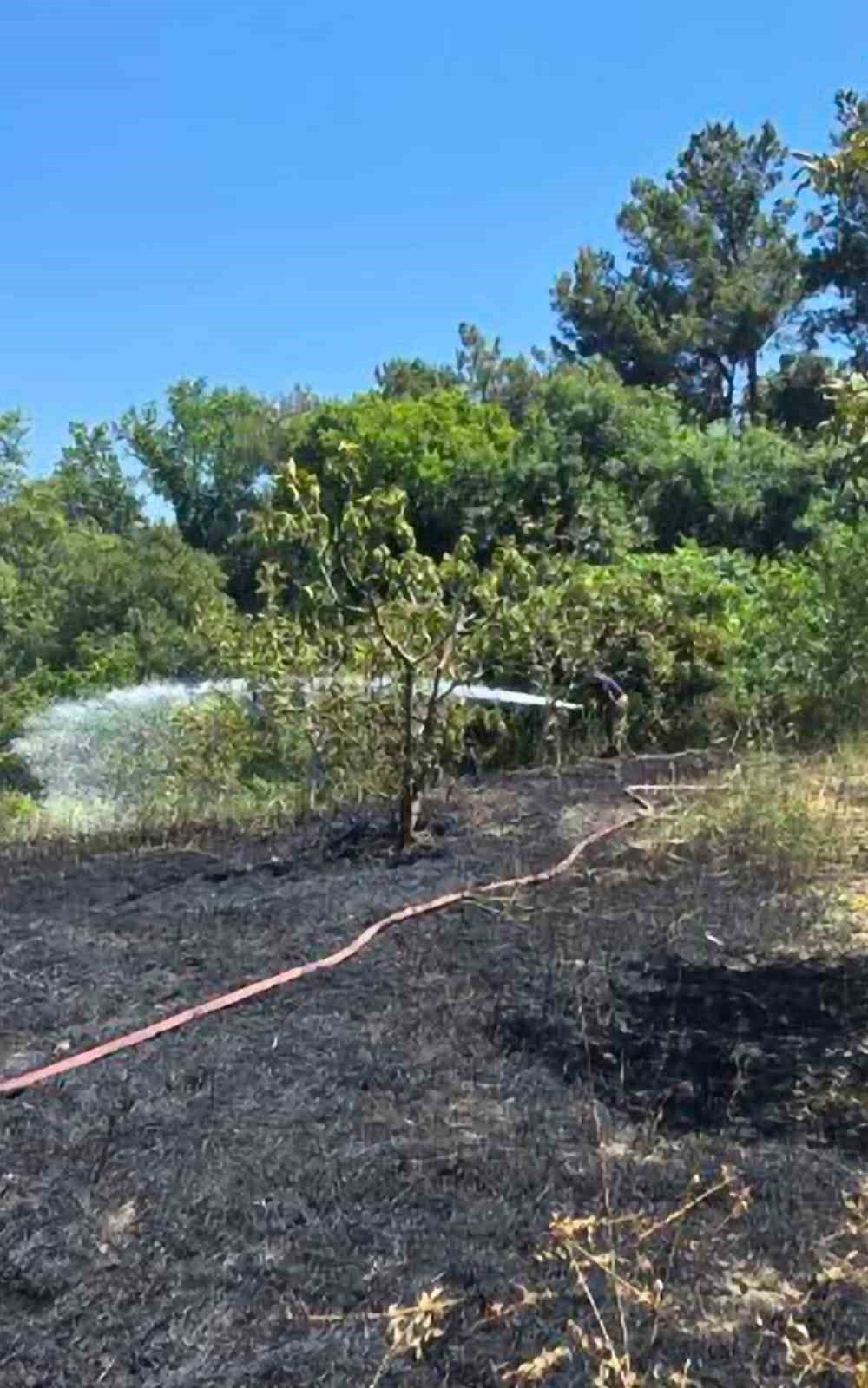 Bursa’da bir bağ evinin bahçesinde çıkan yangın, yaklaşık 4 dönümlük