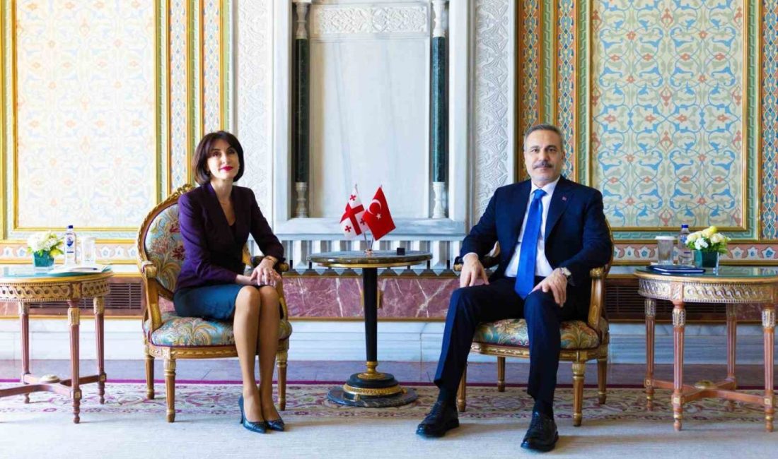 Dışişleri Bakanı Hakan Fidan, Gürcistan Başbakan Yardımcısı ve Dışişleri Bakanı