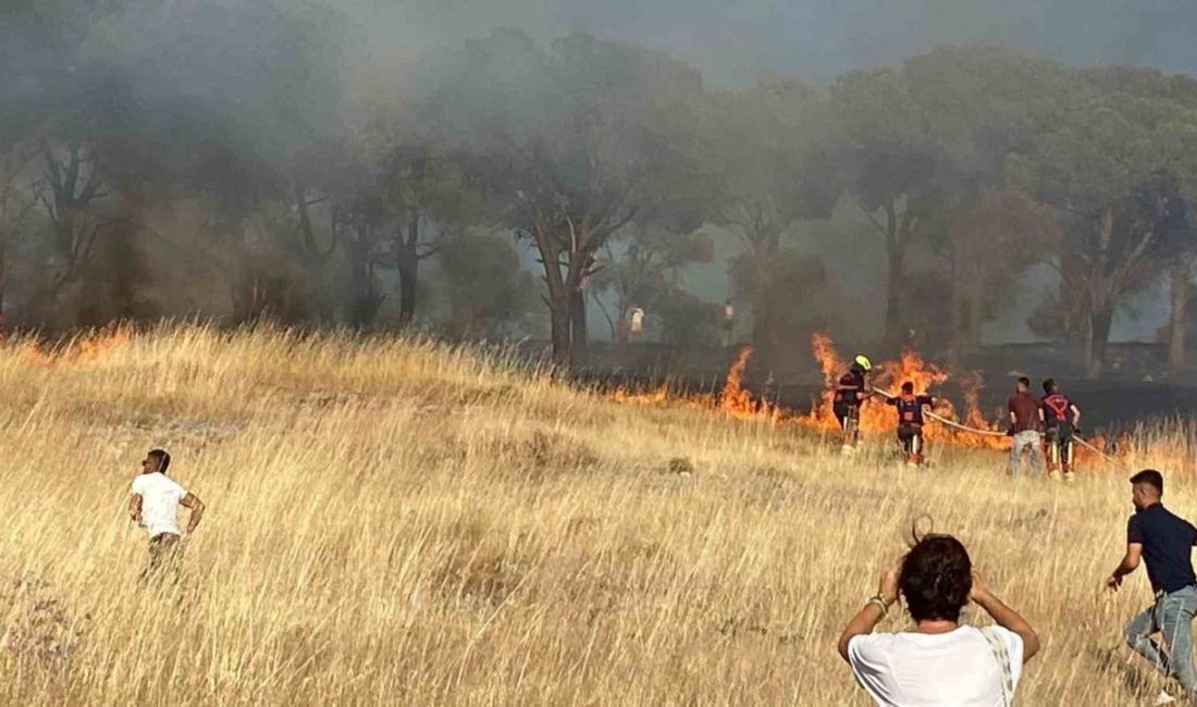 Balıkesir’in Ayvalık ilçesine bağlı Sakarya Mahallesi’nde, Cennet Tepesi eteklerindeki otluk