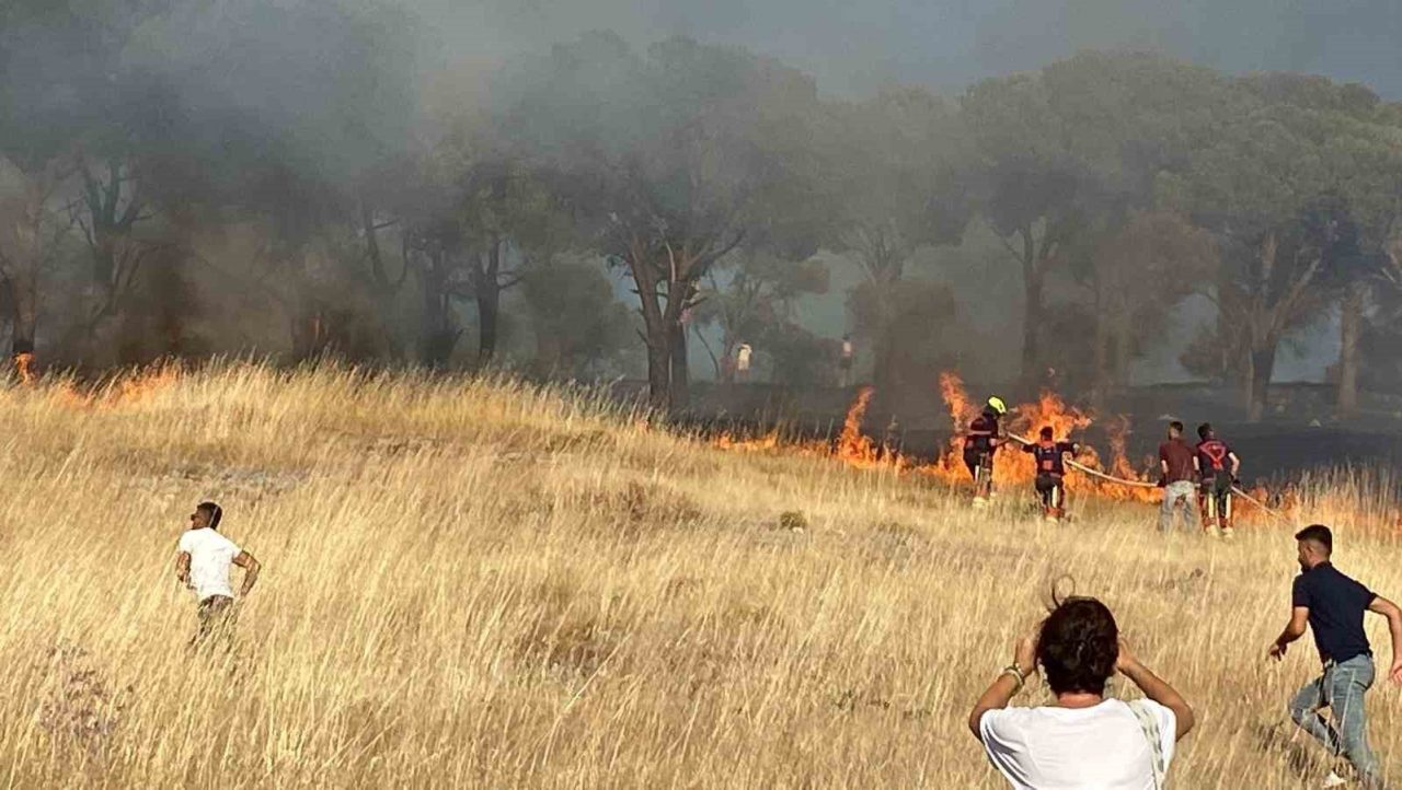 Balıkesir’in Ayvalık ilçesine bağlı Sakarya Mahallesi’nde, Cennet Tepesi eteklerindeki otluk