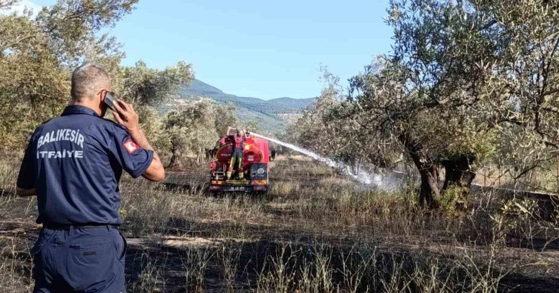 Balıkesir Ziraat Odası Başkanı Rahmi Demirbay, sıcak havayla birlikte tarım