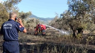 Balıkesir Ziraat Odası Başkanı Rahmi Demirbay, sıcak havayla birlikte tarım