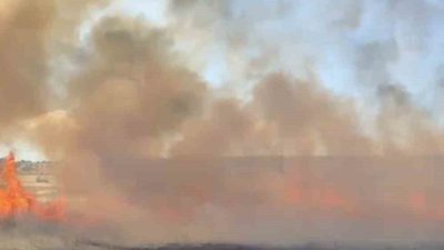 Balıkesir’in Altıeylül ilçesinde arazide çıkan yangına, ekiplerin havadan ve karadan