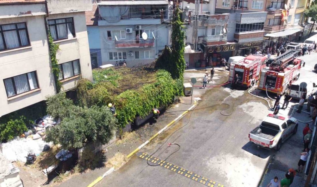 Balıkesir’in Altıeylül ilçesinde bir evin bahçesindeki çardakta başlayan yangın paniğe