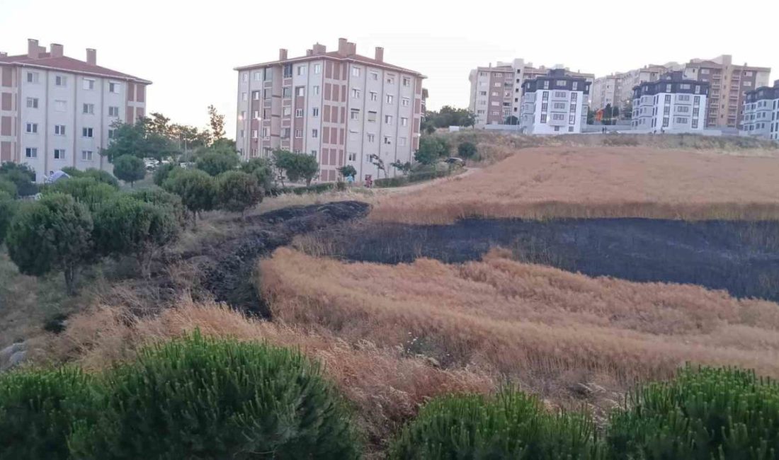 Balıkesir’in Bandırma ilçesinde buğday tarlasında çıkan yangın, itfaiye ve orman