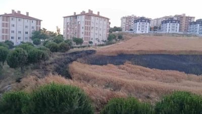 Balıkesir’in Bandırma ilçesinde buğday tarlasında çıkan yangın, itfaiye ve orman