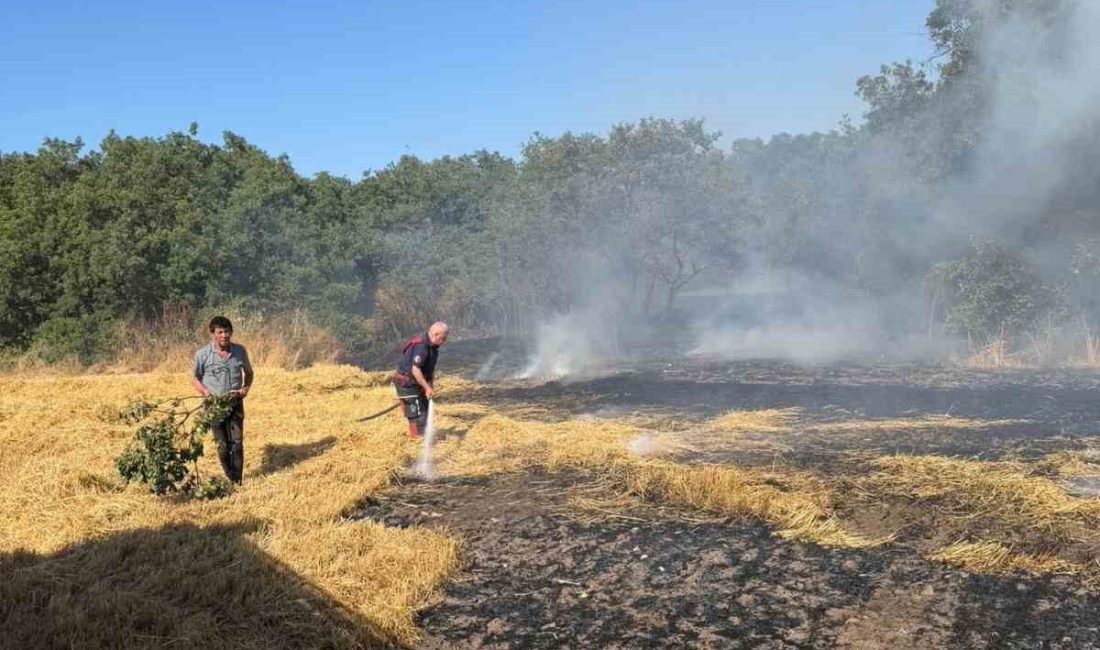 Balıkesir’in Bandırma ilçesinde meydana gelen anız yangını, itfaiye ekiplerinin müdahalesi
