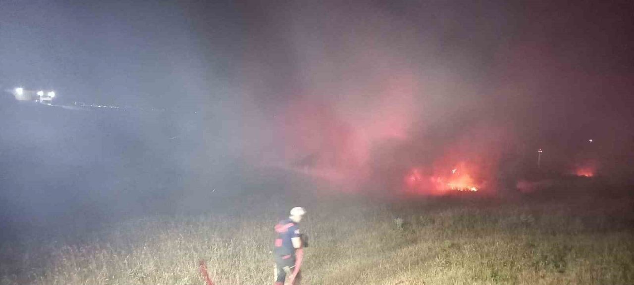 Balıkesir’in Bandırma ilçesinde eski askeri çamlık alanda meydana gelen yangın,