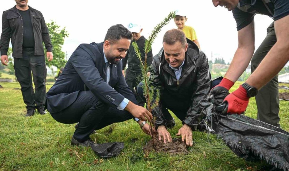 Balıkesir Büyükşehir Belediyesinin Dünya Çevre Günü kapsamında Çamlık Tepesi’ndeki “Bir