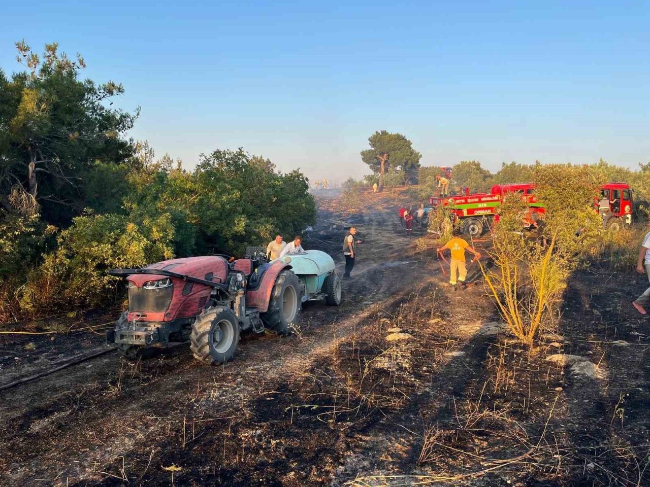 Sakarya’da akşam saatlerinde çıkan yangın, Bilecik sınırına 300 metre kala