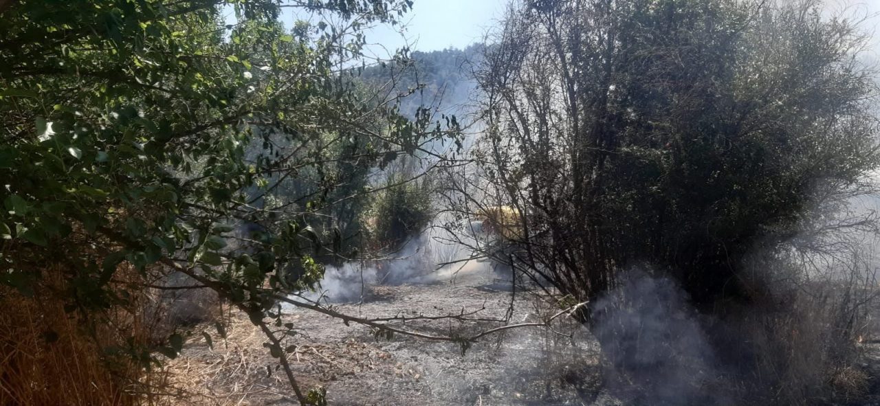 Bilecik’te tarlada bulunan otluk alanda yangın çıktı. Yangın, Bilecik’in Söğüt