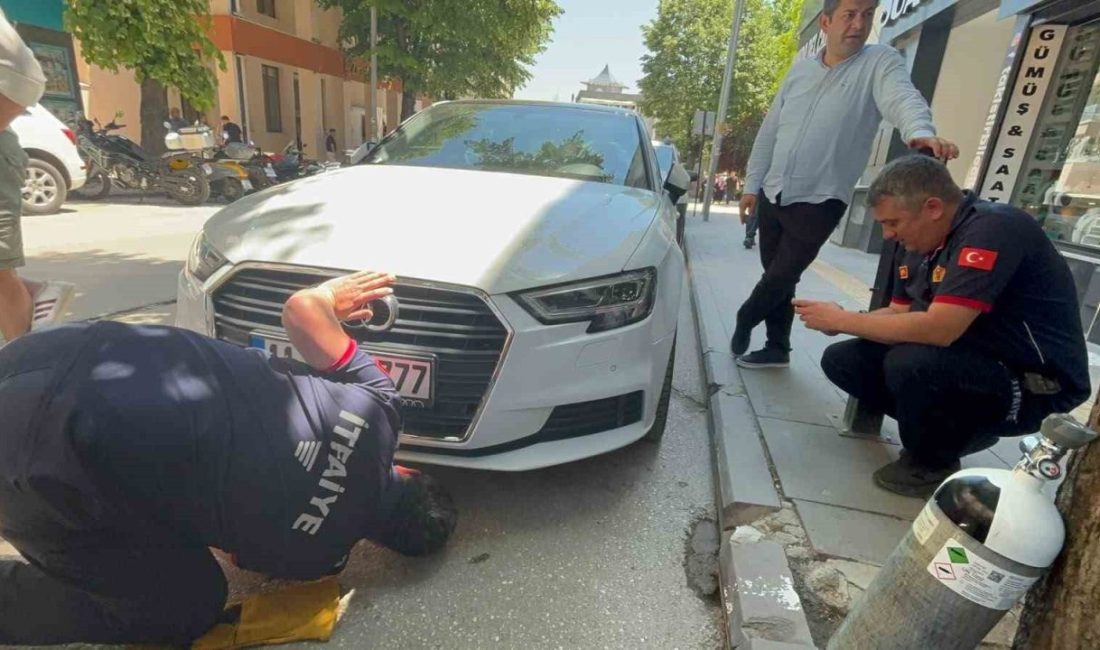 Bilecik’te bir arabanın motor kısmına giren yavru kedi, oradan çıkıp