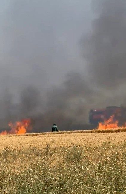 Bursa’nın Karacabey ilçesine bağlı Kirmikir köyü yolu üzerindeki buğday tarlaları,
