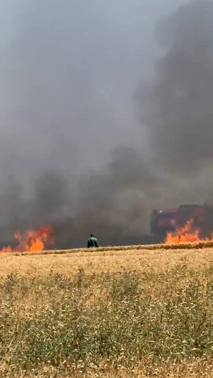 Bursa’nın Karacabey ilçesine bağlı Kirmikir köyü yolu üzerindeki buğday tarlaları,